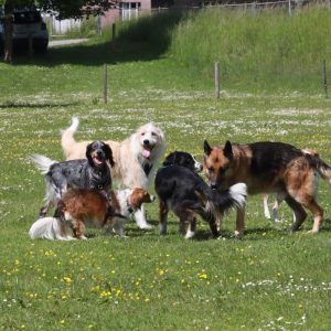 _Lalah_and_boys (1)