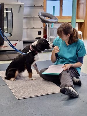 Oreo_Physio_3 (1)