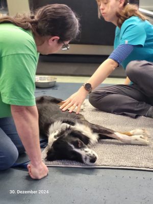 Oreo_Physio_7