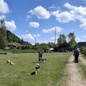 _Ubersicht_11